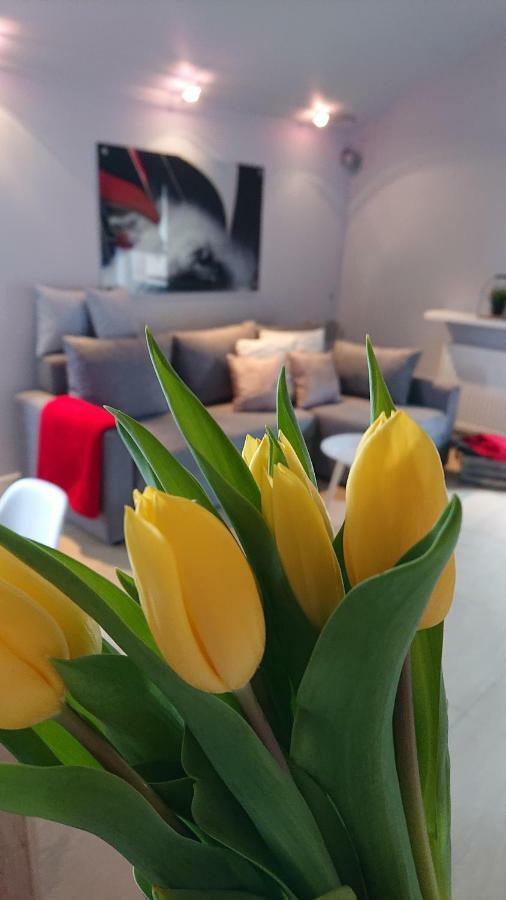 Apartament Silver Miedzywodzie Miedzywodzie